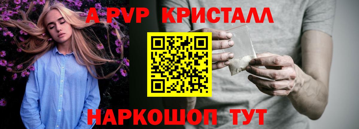 Альфа ПВП СК КРИС Коряжма