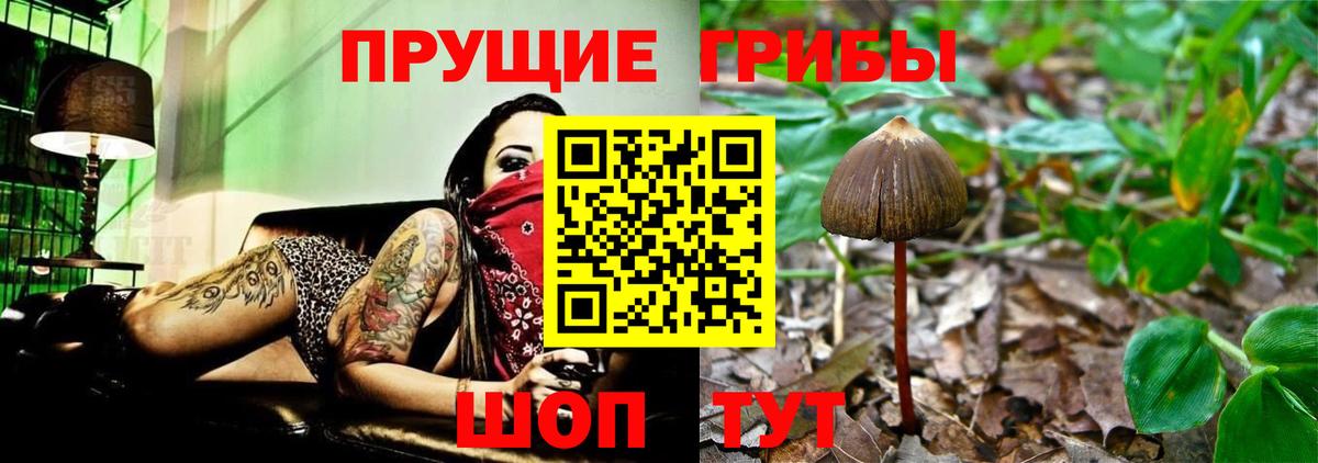 Галлюциногенные грибы Psilocybine cubensis  Вход с VPN  Коряжма 