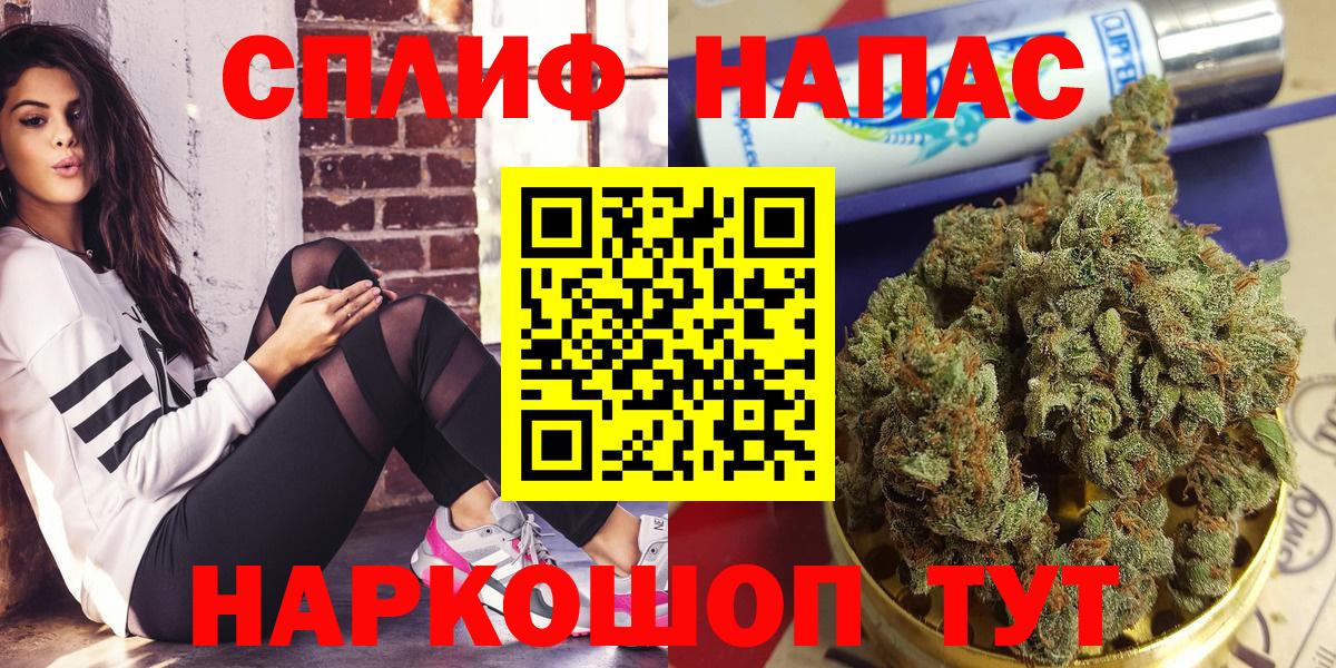 Бошки Шишки план Коряжма
